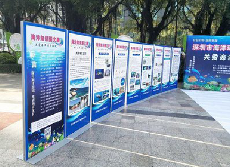 德江KT板的种类和知识。